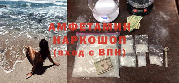 гидра Бородино