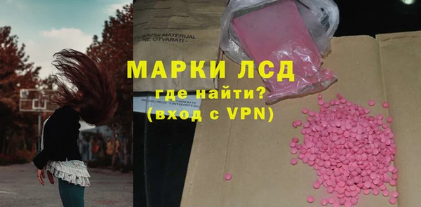 гидра Бородино