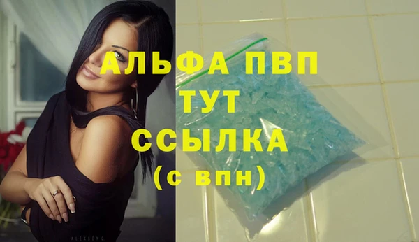 гидра Бородино