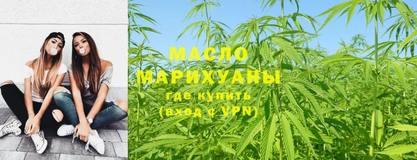 гидра Бородино
