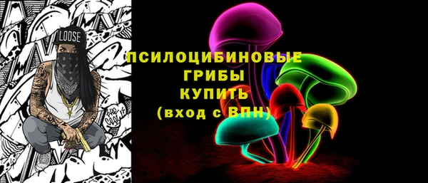 ПСИЛОЦИБИНОВЫЕ ГРИБЫ Бугульма